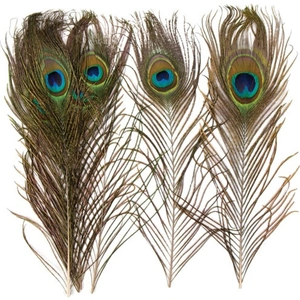 Baker Ross Peacock Craft Feathers - Pack of 10. Natural Peacock Feathers With 'Eye' Pattern. Approx. 26 cm Length