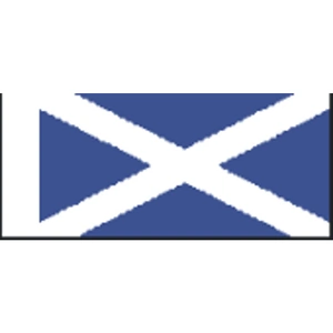 Becc Flags GB Scotland St Andrews Saltire Flag - 100mm - GB31F