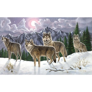 Royal Brush Painting By Numbers Wolves - PAL19